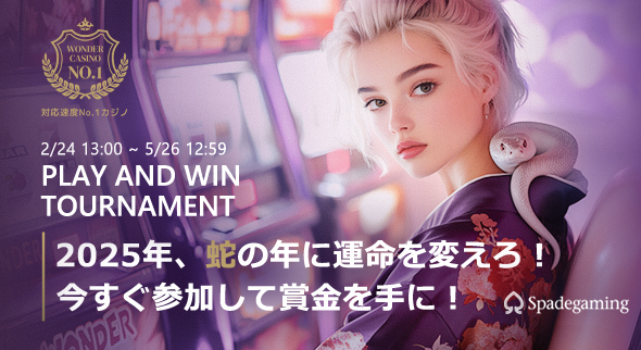 ワンダーカジノパープル